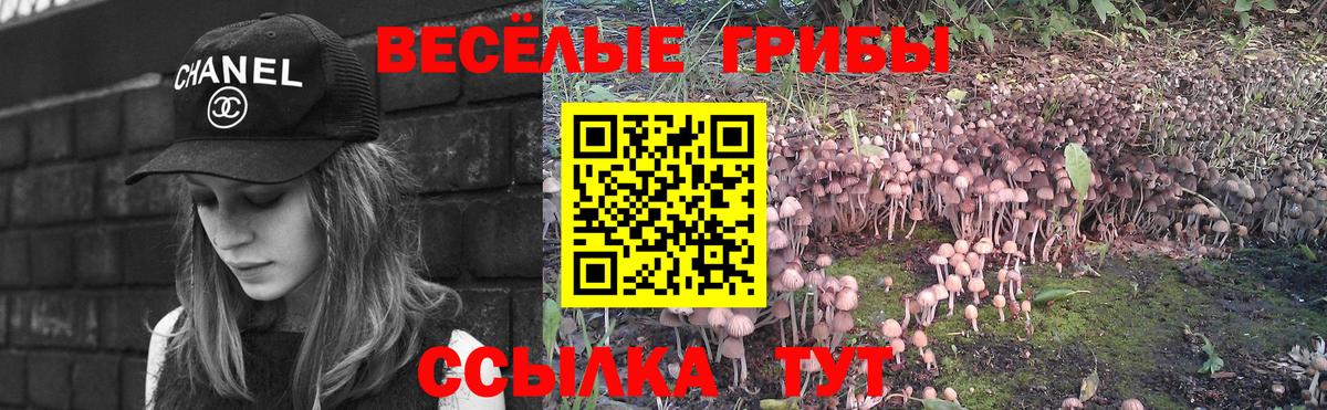 Галлюциногенные грибы мухоморы Октябрьский